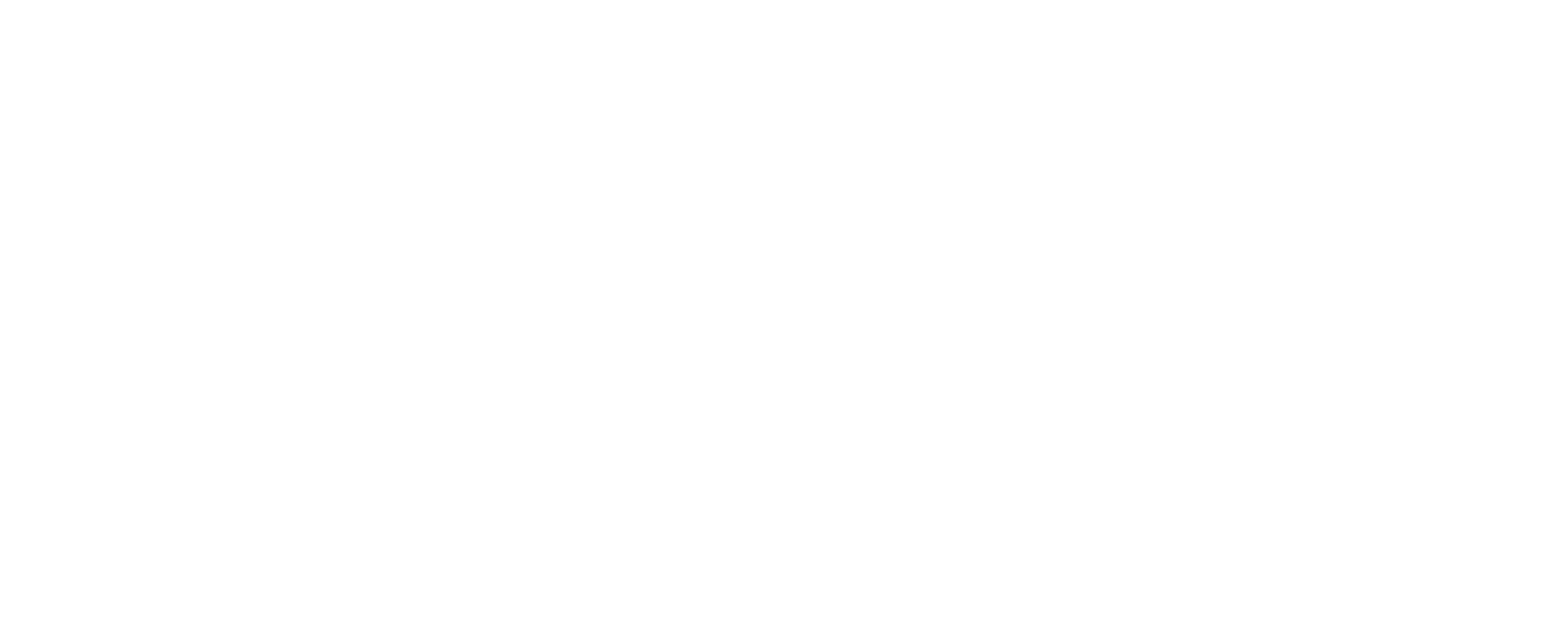 Aris Boutique Hotel & SPA Oradea
